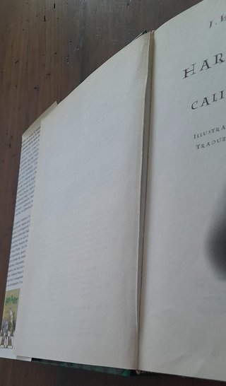 Harry Potter e il calice di Fuoco