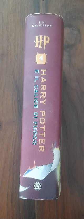 Harry Potter e il calice di Fuoco