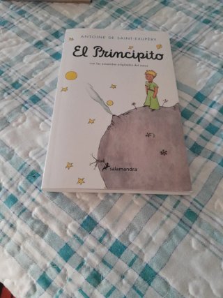 El Principito / The Little Prince