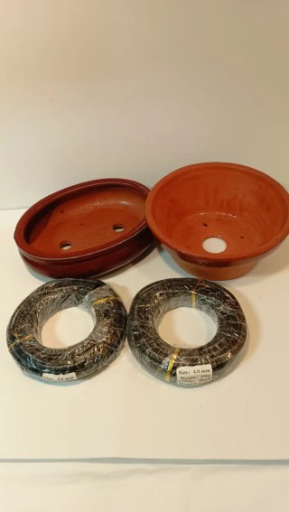 Bonsai Ullastre Shohin Macetas + Rollos de Alambre