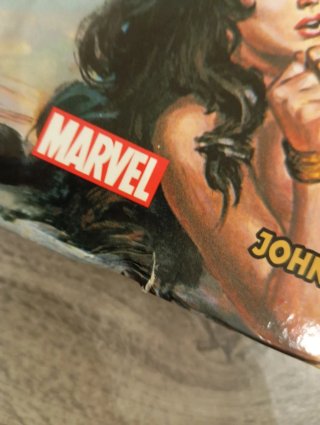 La espada salvaje de Conan 13