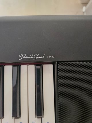 Teclado Yamaha PortableGrand NP-30
