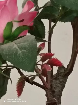 Bonsai Rosa Artificiale Seta H 50cm