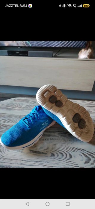 Zapatillas Skechers Azul y Blanco