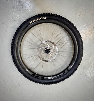 Cubierta Maxxis Assegai 3C MaxxTerra