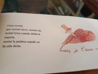 Cuaderno de artista Eva Hiernaux