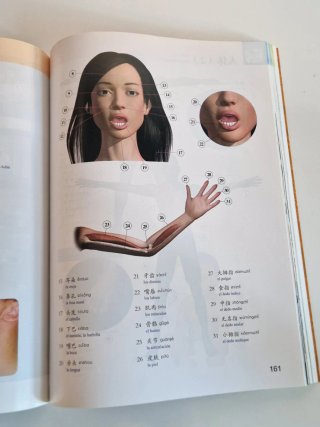 汉语图解词典