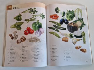 汉语图解词典