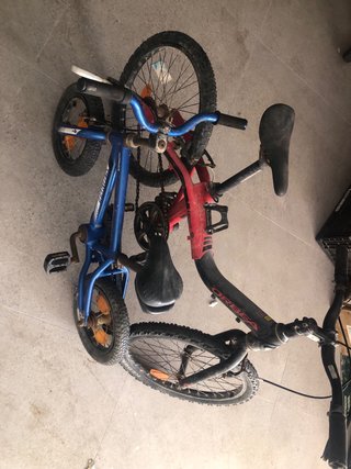 Bicicletas Orbea y Specialized para niños