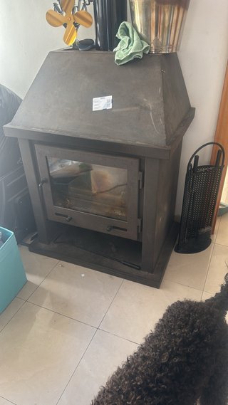 Chimenea metálica con puerta de cristal