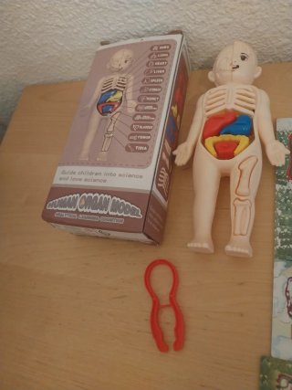 Juego de mesa Draftosaurus + Regalo Cuerpo Humano