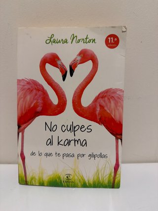 No culpes al karma de lo que te pasa por gilipo...