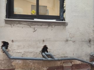 Fontanero, Manitas, Persianista  Económico