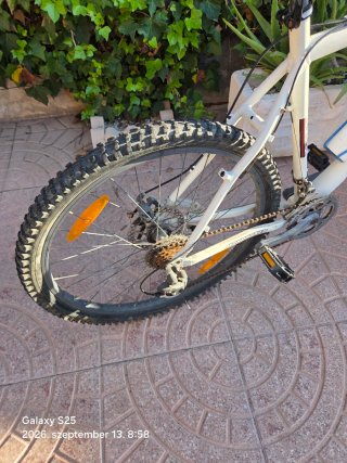 Bicicleta Mondraker Concept Disc