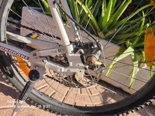 Bicicleta Mondraker Concept Disc