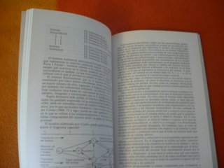ARQUEOLOGIA ANTROPOLOGICA ( ALCINA ) AKAL PROCESO