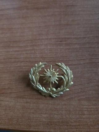 Insignia antigua Intendencia