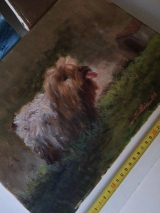 Lote 3 óleos: mujer, marina y perro