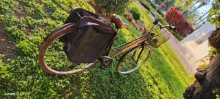 Bicicleta de paseo vintage