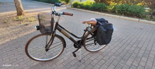 Bicicleta de paseo vintage