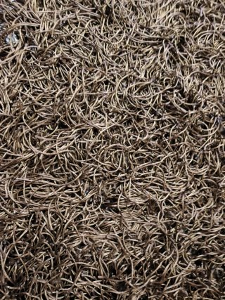 Alfombra grande marrón 180x230