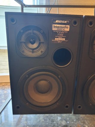 Altavoces Bose Interaudio 2000 XL