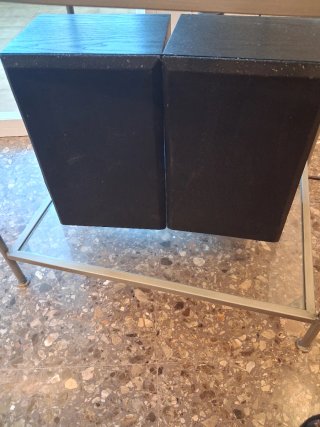 Altavoces Bose Interaudio 2000 XL