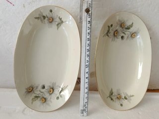 Richard Ginori Piatti Ovali Fiori 12 euro al pezzo