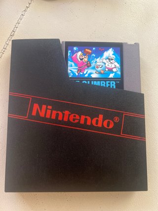 Juego Nintendo Ice Climber Serie Accion