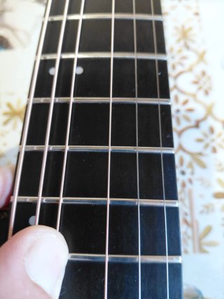 Guitarra Godin Multiac Steel Duet Ambiance