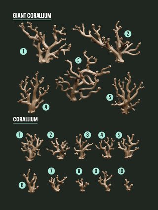 Decoración para bases y peanas