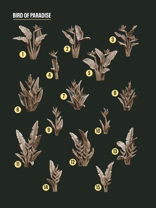 Decoración para bases y peanas