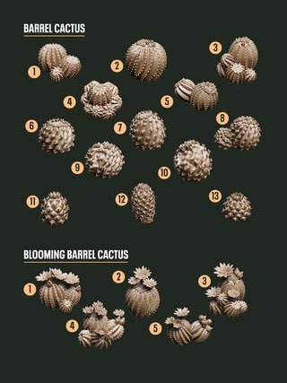 Decoración para bases y peanas
