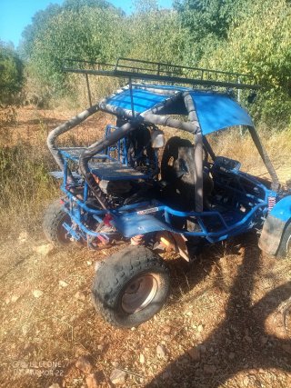 Buggy 250cc cambio por Quad