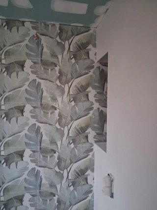 Solados y alicatados