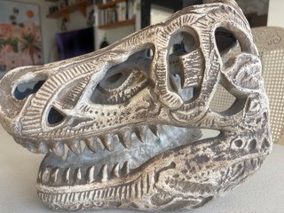 Cabeza T-Rex Metal Decorativa