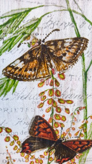 2 Cuadros Decorativos Mariposas  o con texto