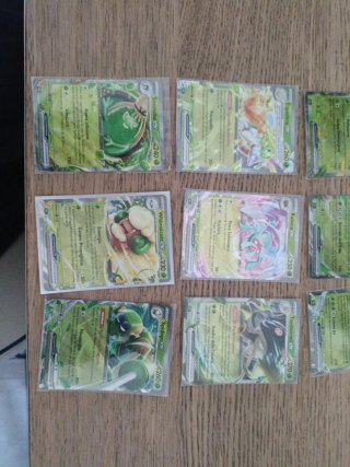 Lotto 9 Carte Pokemon EX Erba Rare
