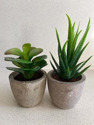 2 Plantas Artificiales 12cm