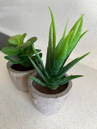 2 Plantas Artificiales 12cm