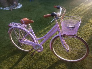 Bicicleta Urbana Retro Lila