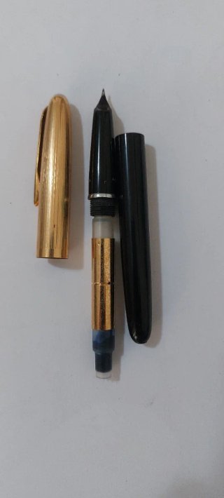 Penna stilografica Aurora 88