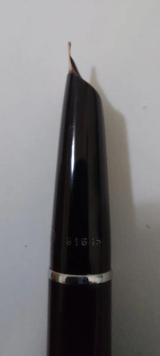 Penna stilografica Aurora 88