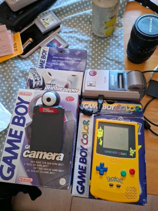 Nintendo Game Boy Color Pokemon Edición Especial