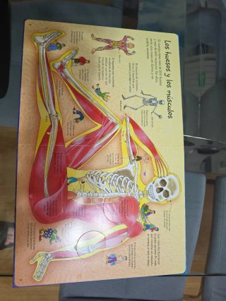 CONOCE POR DENTRO TU CUERPO