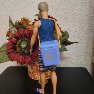 Muñeco Ken con accesorios de playa