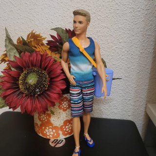 Muñeco Ken con accesorios de playa