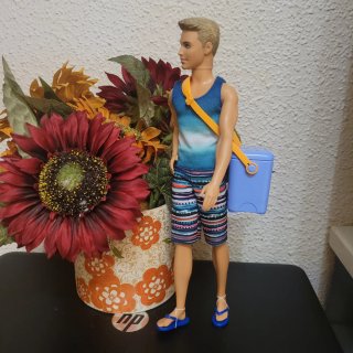 Muñeco Ken con accesorios de playa