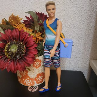 Muñeco Ken con accesorios de playa
