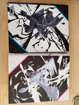 Lote Pokémon: Sobres Sellados y Carta